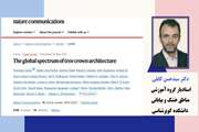 انتشار مقاله معتبر بین‌المللی با مشارکت دکتر حسن کابلی، عضو هیأت علمی دانشگاه سمنان